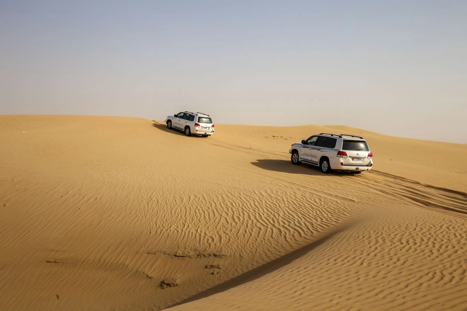 Evening Desert Safari Dubai Dubai Desert Safari photo 2