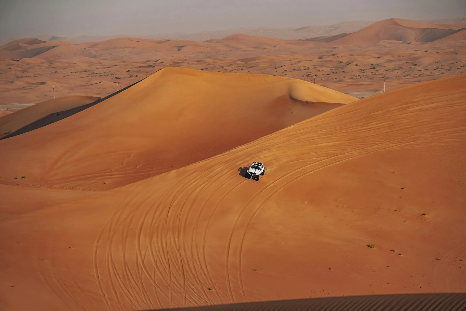 Evening Desert Safari Dubai Dubai Desert Safari photo 3