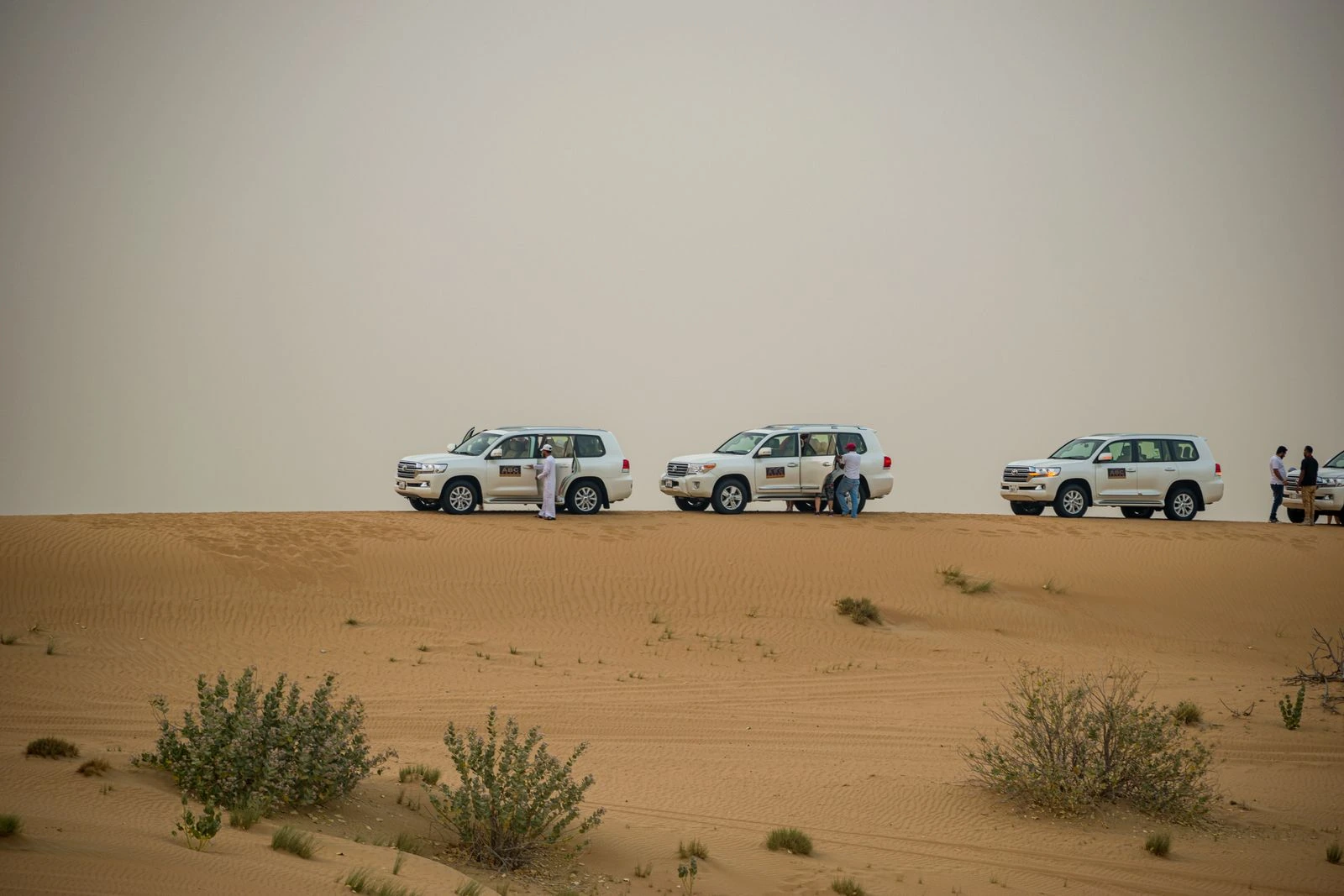Morning Desert Safari Dubai Dubai Desert Safari photo 3